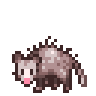 Opossum Anim.gif