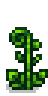 Ancient Fern Phase 5.png