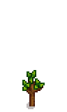 Persimmon Tree Phase 3.png