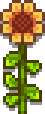 Wall Flower.png