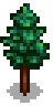 Pine Tree Stage 3-4 Spring.png