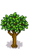 Nectarine Tree Phase 4.png
