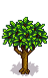 Nectarine Tree Phase 4.png