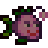 Smoked Ms. Angler.png