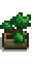 Bonsai Tree.png