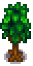 Oak Tree Stage 3-4 Spring.png