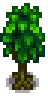 Green Rain Maple Tree Stage 3-4 Spring.png