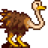 Ostrich.gif