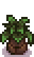 Seasonal Plant 1 Spring.png