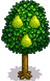 Pear Tree Harvest.png