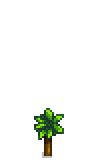 Nectarine Tree Phase 2.png