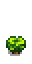 Salal Shrub Phase 3.png