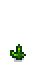 Ancient Ferns Phase 2.png