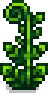 Ancient Fern Phase 6.png