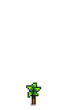 Nectarine Tree Phase 1.png