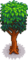 Mahogany Tree Portrait.png