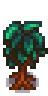Mahogany Tree Stage 3-4 Spring.png