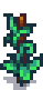Green Bean Stage 5.png