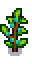 Slime Berry Phase 6.png
