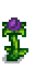 Monster Fruit Phase 4.png