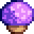 Mega Purple Mushroom.png