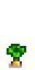 Gold Carrot Phase 5.png