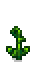 Ancient Ferns Phase 4.png
