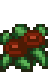 SwampFlowerCrab.gif