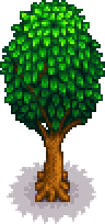 Oak tree portrait.png