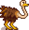 Ostrich.png