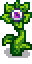 Monster Fruit Phase 6.png