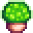 Green Mushroom.png