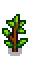Slime Berry Phase 5.png