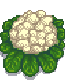 Giant Cauliflower.png