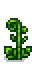 Ancient Ferns Phase 5.png