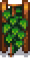 Hops Stage 4.png
