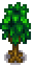 Green Rain Oak Tree Stage 3-4 Spring.png