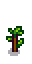 Slime Berry Phase 3.png