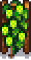 Hops Stage 6.png