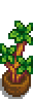 Corn Plant.png