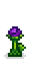 Monster Fruit Phase 3.png