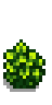 Salal Shrub Phase 5.png