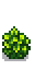 Salal Shrub Phase 5.png