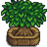 Junimo Tree.png