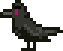 Crow.png