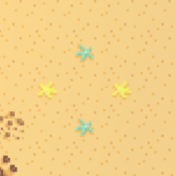 Walnutlocation4starfish.PNG