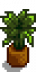 House Plant 11.png