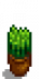 House Plant 11.png