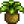 Wild Horseradish.png