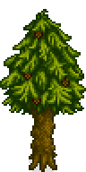 Pine Tree Stage 5-15 Fall.png